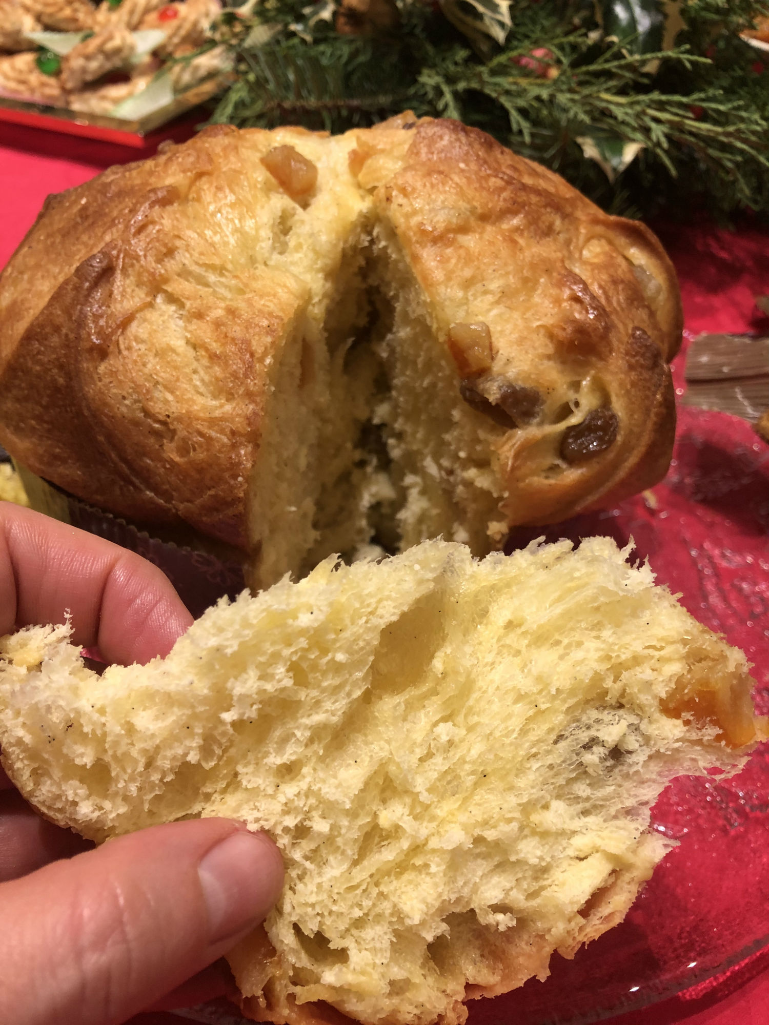 Panettone Il Toscano