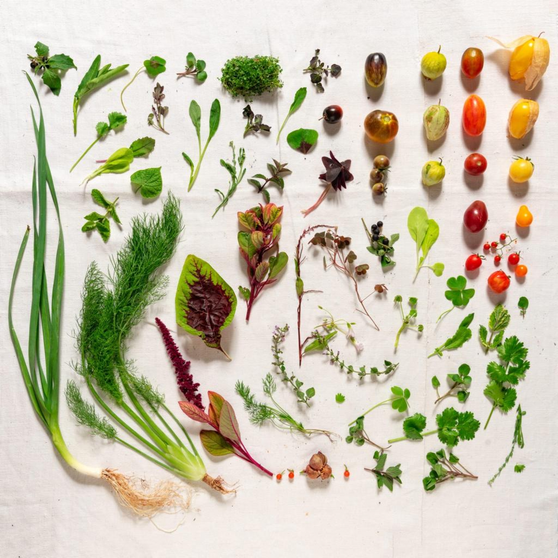verdure