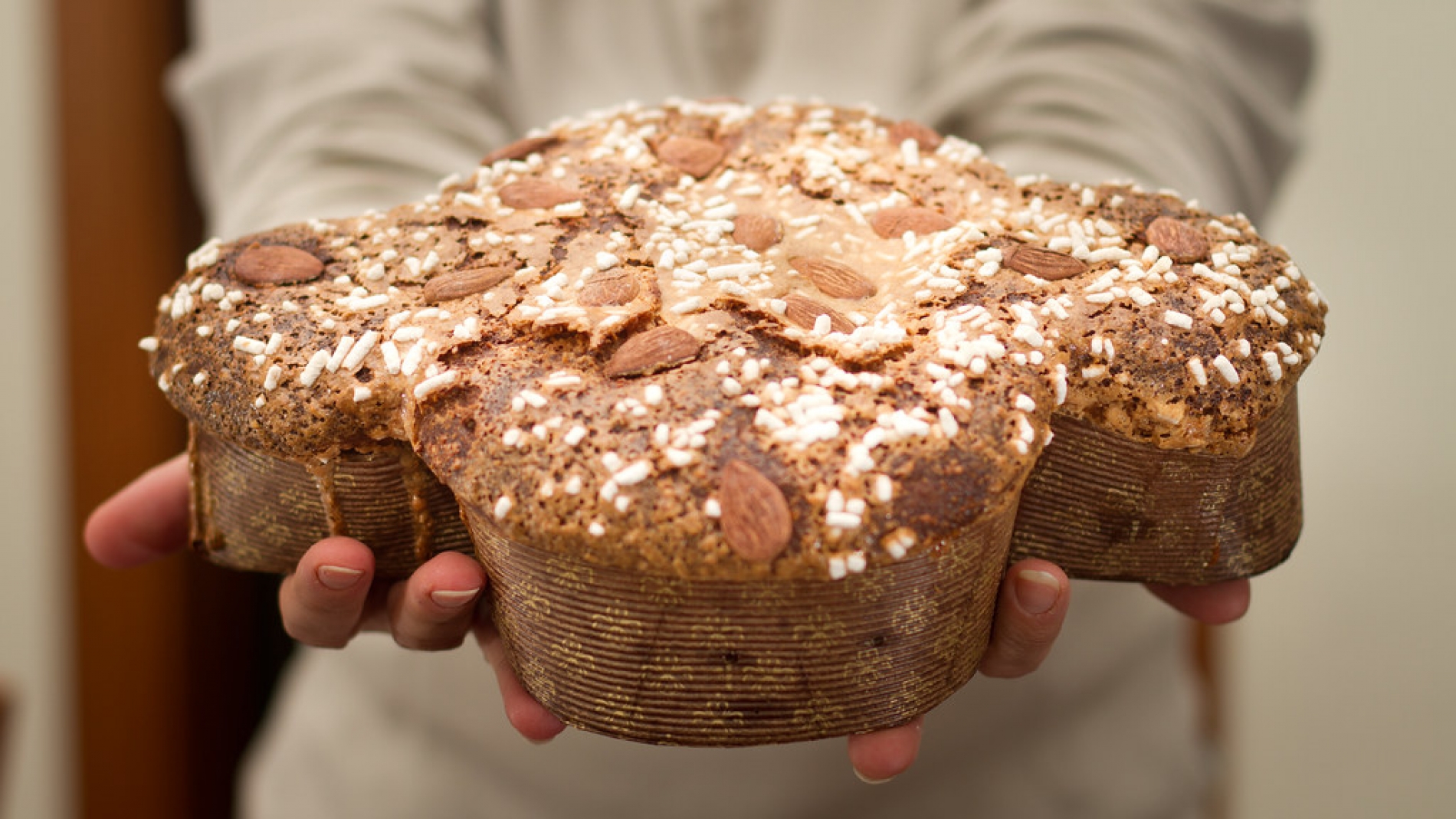 colomba